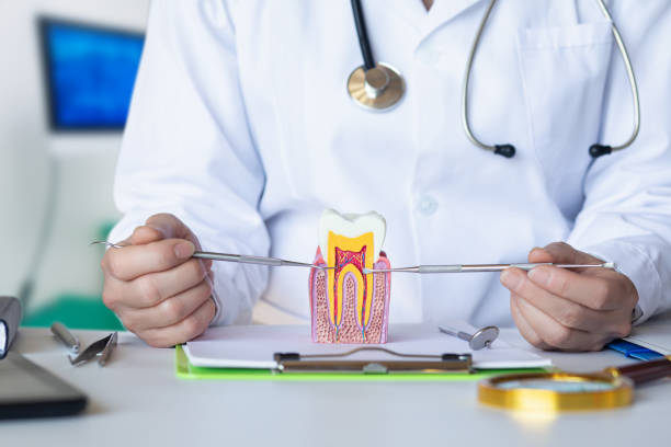 Best Knocked-Out Tooth (Avulsed Tooth) Treatment in Van Vleck, TX